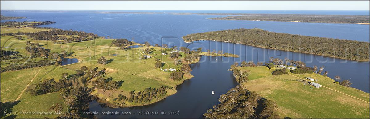 Peter Bellingham Photography Banksia Peninsula Area - VIC (PBH4 00 9483)